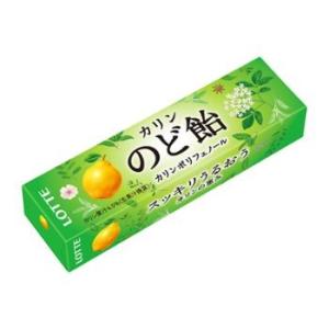 ロッテ（LOTTE） フルーツのど飴スティックタイプ 11粒入×10個 ロッテ