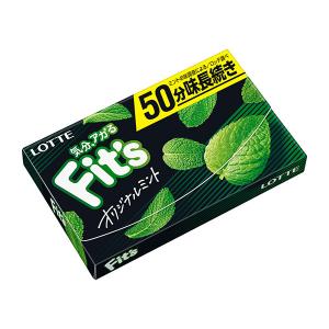 XYLITOL キシリトールガム＜フレッシュミント＞ 14粒入×20個