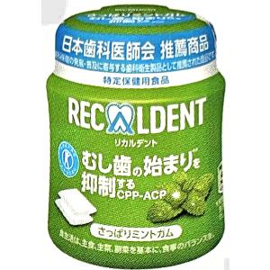 リカルデント グレープミントガム ボトル 140g リカルデント＜グレープミント＞ボトル135.2g入 1個 【新規格
