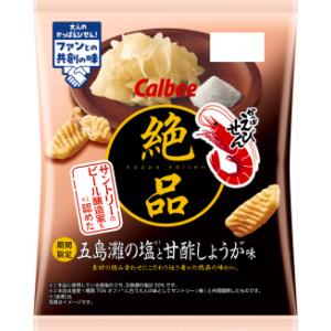 絶品えびせん 五島灘の塩と甘酢しょうが味 60g入×12袋 1ケース カルビー