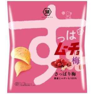chip star チップスター Sサイズ サワークリームオニオン味 45g入×8個