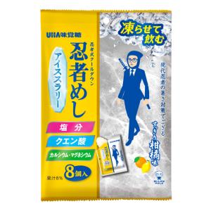 忍者めしアイススラリー　すっきり柑橘味　176ｇ（22g×8個）入　１袋　ユーハ味覚糖（株）