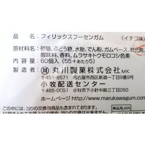 フィリックスガム(当たり付) 55個+あたり分...の詳細画像2