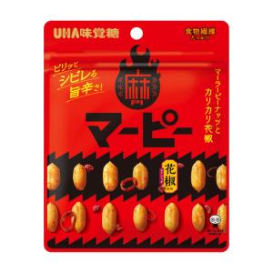UHA味覚糖 UHA 味覚糖 忍者めし 鉄の鎧 グレープ味 40g ×2袋セット