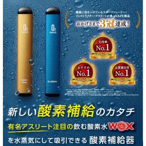 新しい酸素補給のカタチ 酸素パイポ 酸素補給器...の詳細画像2