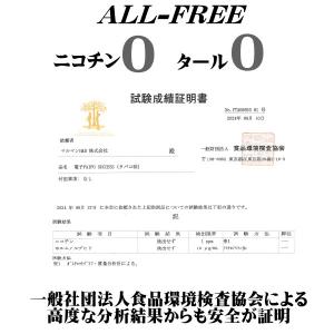 マルマン 電子パイポ サクセス 電子タバコ タ...の詳細画像3