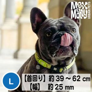犬 首輪 デジタル迷子札付き Max&Molly オリジナルギア キウイ Lサイズ 中型犬 大型犬｜zenpets