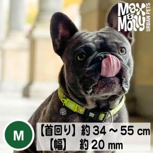 犬 首輪 デジタル迷子札付き Max&Molly オリジナルギア キウイ Mサイズ 中型犬｜zenpets