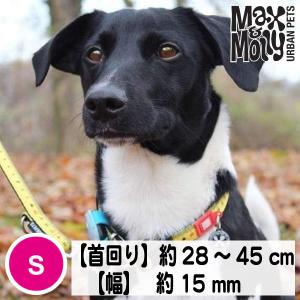 デジタル迷子札付き 犬用 首輪 Max&amp;Molly オリジナルギア ルーラー Sサイズ 小型犬
