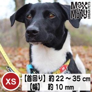 デジタル迷子札付き 犬用 首輪 Max&amp;Molly オリジナルギア ルーラー XSサイズ 超小型犬 小型犬