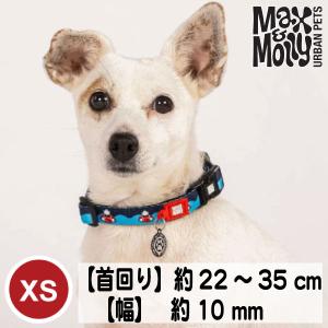 COACH（コーチ） 新品同様 ドッグカラー ペット用 小型犬用 首輪