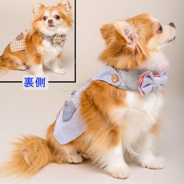 小型犬 ハーネス ベスト型 ウェア 一体型 GLITTER POOCH モルトン マン リバーシブル...