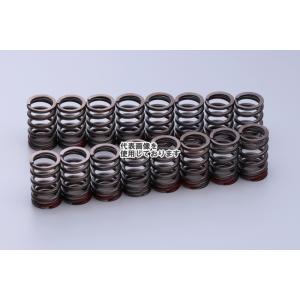 東名パワード VALVE SPRING 4G63 163060
