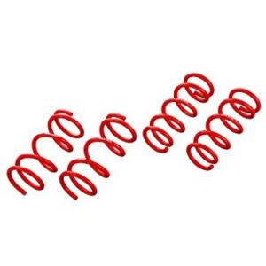 NISMO スポーツスプリング ジュークNISMO F15 54000-RNF50