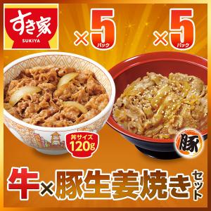すき家 お試しセット 牛×豚生姜焼き 計20食 牛丼の具120g 10パック×豚
