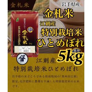米 新商品！人気商品！【令和7年産岩手県産白銀のひかり5kg】 : 杉善