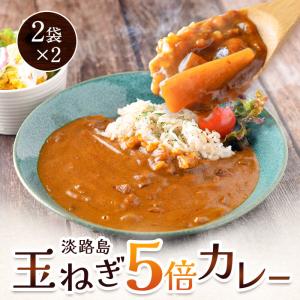 ハチ食品 じっくり煮込んだカレー 辛口 210g : ザグザグ通販プレミアム
