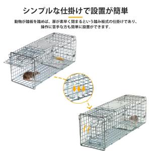 捕獲器 Lサイズ 動物捕獲器 野良猫 踏み板式...の詳細画像3