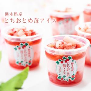 お歳暮 アイス ギフト 栃木県産 とちおとめ苺アイス 6個 アイスクリーム いちご イチゴ 御歳暮