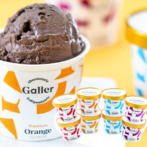 アイス ギフト ベルギー王室御用達 Galler監修 プレミアム アイスクリーム 8個 内祝