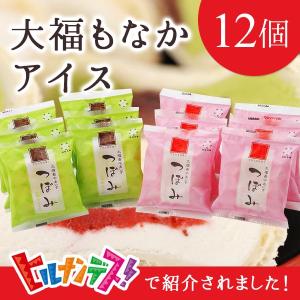 ギフト 桜庵 大福もなかアイス 「つぼみ」12個 アイスモナカ 苺
