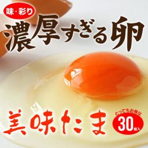 ブログに書きたくなる卵 産地直送 養鶏場直送 美味たま（30個）｜絶品ちば本舗