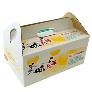 ブログに書きたくなる卵 産地直送 養鶏場直送 ...の詳細画像1
