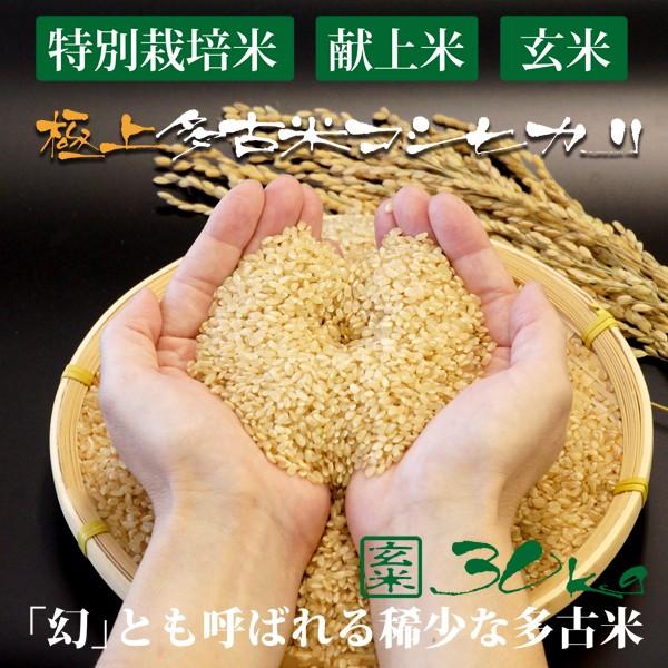 令和5年産 新米 産地直送 プロも認める 萩原農場 の 特別栽培米 多古米 コシヒカリ 【玄米】 3...