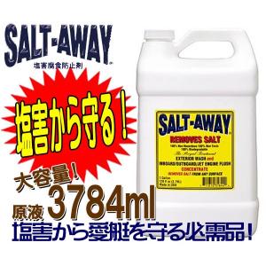 大容量3784ml SALTAWAY　ソルトアウェイ　(塩害腐食防止剤)