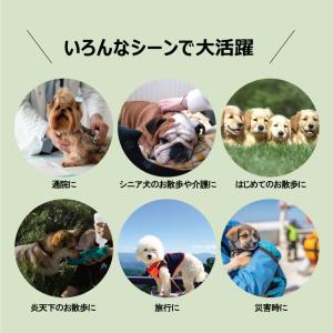 三輪バギー 三輪ペットカート レインカバー付 ...の詳細画像2