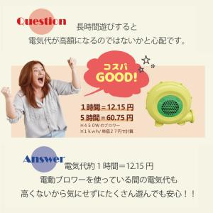 PO-005 大型 プール エアー 遊具 水遊...の詳細画像5