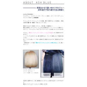 カラーバター アッシュブルー 200g ヘアカ...の詳細画像1
