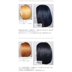 カラーバター アッシュブルー 200g ヘアカ...の詳細画像2