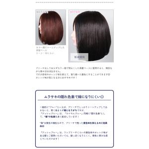 カラーバター アッシュブルー 200g ヘアカ...の詳細画像3
