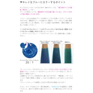 カラーバター オーシャンブルー 200g ヘア...の詳細画像2