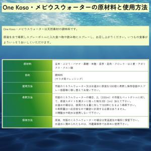正規代理店 OJIKA Industry メビ...の詳細画像3