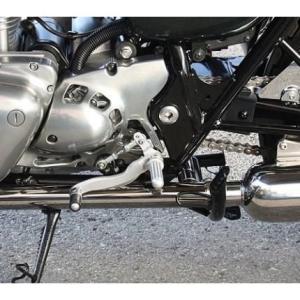 W800 ハイパーバンク （可倒式）シルバー BEET（ビート）