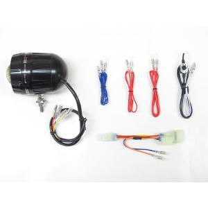 ADV150 FLT-H02 LEDフォグライト 12V 28W 6000K PROTEC