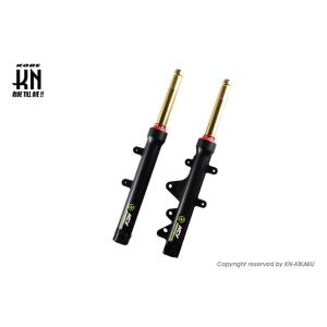 AEROX155 NCY フロントフォーク（ゴールドカラー） KN企画