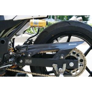 STRIKER エアロデザイン カーボンチェーンカバー STRIKER（ストライカー）