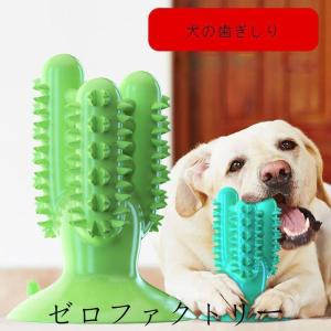簡単入れ歯 犬用おもちゃ の商品一覧 犬用品 ペット用品 生き物 通販 Yahoo ショッピング