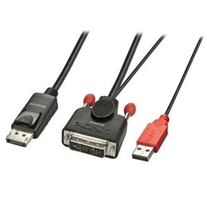 LINDY DVI-D - DisplayPort変換ケーブル、USB給電ケーブル付、1m(型番:41976)｜zerokara-kobo
