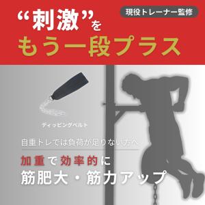 ディッピングベルト ディップス 加重 荷重 チ...の詳細画像1