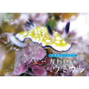 ウミウシ 販売の商品一覧 通販 Yahoo ショッピング