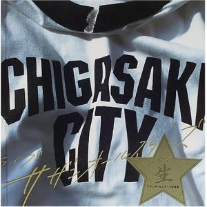 サザンオールスターズ茅ケ崎ライブ 綺麗め 中古