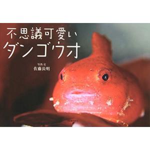 ダンゴウオ 画像の商品一覧 通販 Yahoo ショッピング