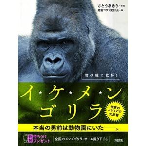 イケメンゴリラ 本 本 雑誌 コミック の商品一覧 通販 Yahoo ショッピング