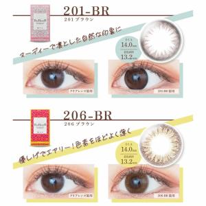 カラコン ルースシフォン ZERU.2week...の詳細画像4