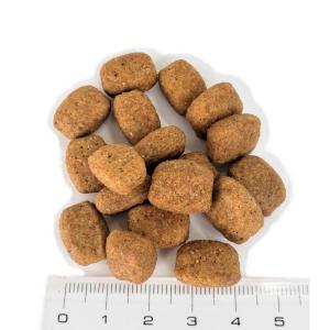 ドッグフード 国産 秋田犬 猟犬 10kg ゼ...の詳細画像1