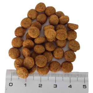 ドッグフード 国産 小粒 10kg お得 小型...の詳細画像2